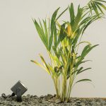 OUTDOOR SPIKE-POST LIGHT LED 12W ALUMINIUM GRAPHITE